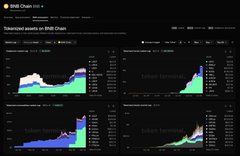A dashboard titled 'BHE Chain Info' displays multiple area charts showing tokenized assets and their performance metrics.