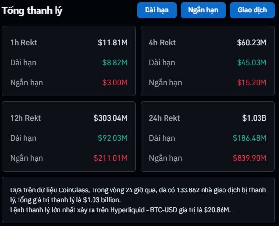 Cryptocurrency liquidation summary dashboard in Vietnamese ('Tổng thanh lý') showing long/short liquidation totals across 1h, 4h, 12h, and 24h timeframes, with $1.03B liquidated over 24 hours affecting 133,862 traders, per CoinGlass data.