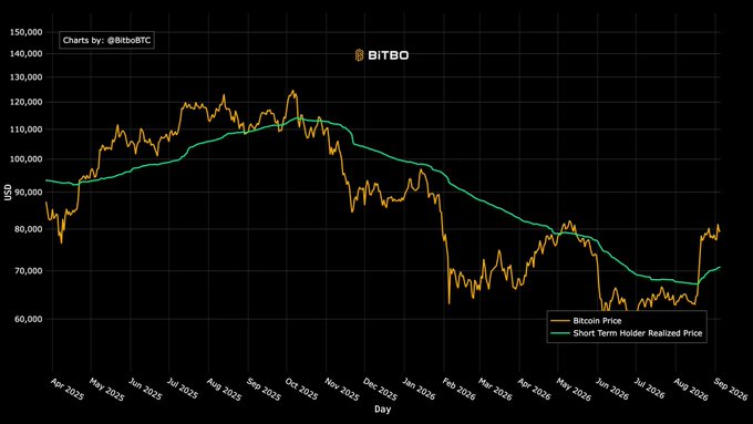 A BITBO line chart tracking Bitcoin Price (orange) and Short Term Holder Realized Price (green) in USD from approximately April 2025 to August 2026, showing the price peaking near $120,000 before declining to around $70,000.