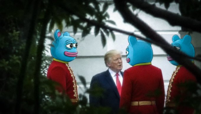 [caption-failed: flagged sensitive]