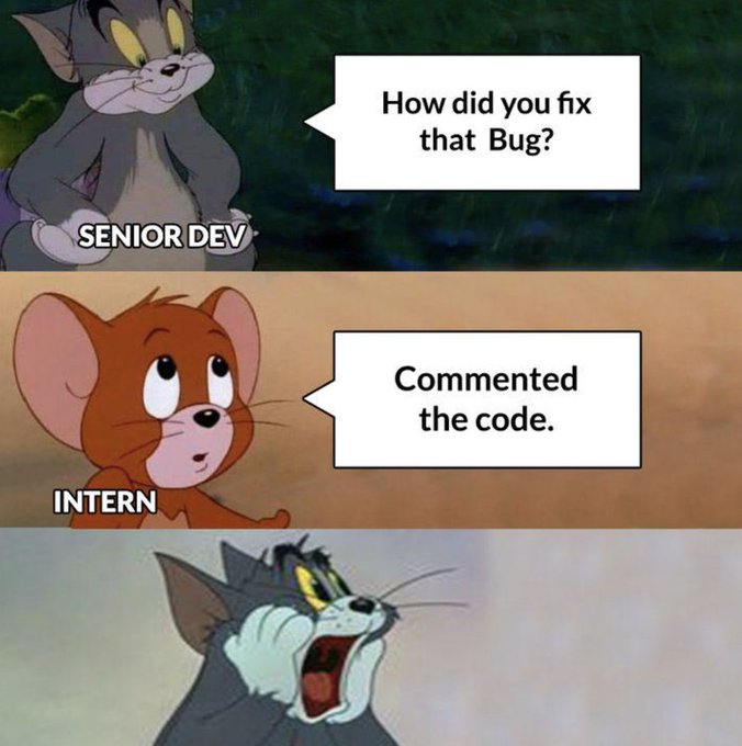 A three-panel meme using Tom and Jerry characters shows a Senior Dev (Tom) asking 'How did you fix that Bug?' and an Intern (Jerry) responding 'Commented the code', leaving the Senior Dev (Tom) screaming in shock.