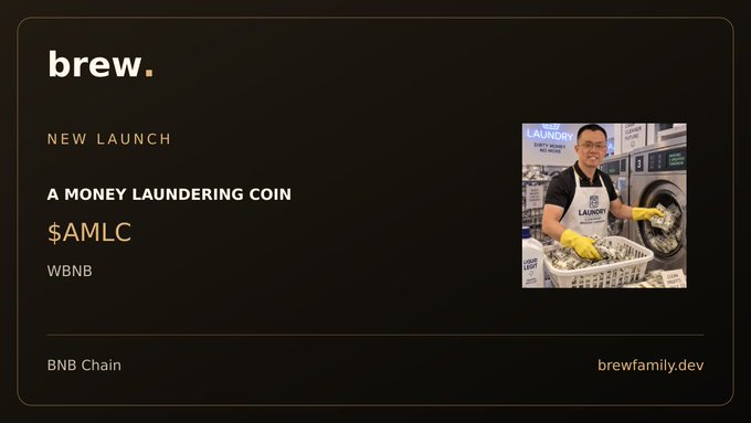 A product launch card for "A Money Laundering Coin" ($AMLC) on WBNB and BNB Chain, featuring an image of a man in a laundromat wearing yellow gloves and holding cash.