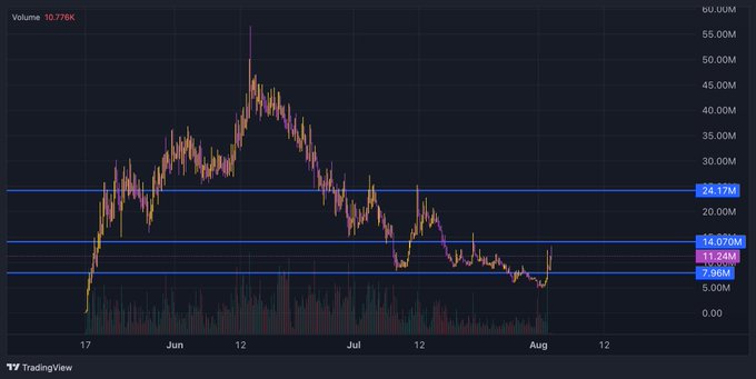 A TradingView candlestick chart displays the PEPE coin's price action from late May through early August, with volume of 10.776K and horizontal support/resistance lines marking key levels at $7.96M, $13.24M, $14.07M, and $24.17M. The chart shows a massive rally peaking near $55M in mid-June followed by a decline, aligning with the post's optimistic call for a "vibe and manifest" breakout run to $100M+.