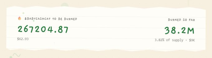 A website counter shows "$BABYCASHCAT TO BE BURNED" at 267,204.87, with 38.2M already burned, representing 3.82% of supply ($9K).