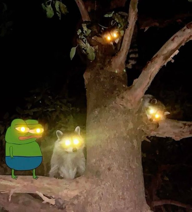 A meme featuring a cartoon Pepe the Frog standing next to a small animal on a branch, with all animals including birds in the tree having their eyes replaced with glowing yellow lights.