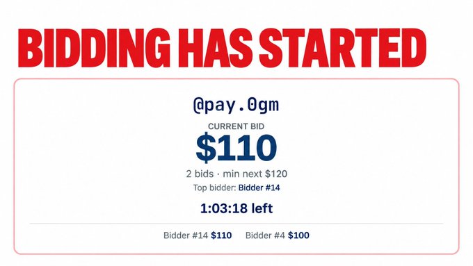 A bidding interface displays 'BIDDING HAS STARTED' with a current bid of $110 by @pay.0gm, showing 2 bids, a minimum next bid of $120, and 1:03:18 left.