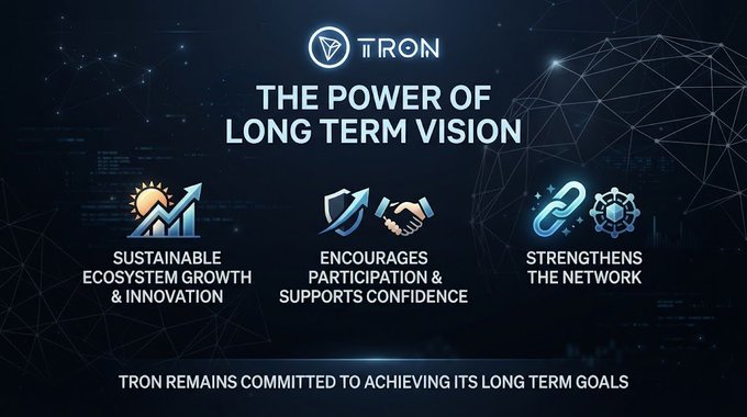 An infographic for TRON cryptocurrency titled 'The Power of Long Term Vision,' highlighting 'Sustainable Ecosystem Growth & Innovation,' 'Encourages Participation & Supports Confidence,' and 'Strengthens the Network,' with a footer stating 'Tron remains committed to achieving its long term goals.'