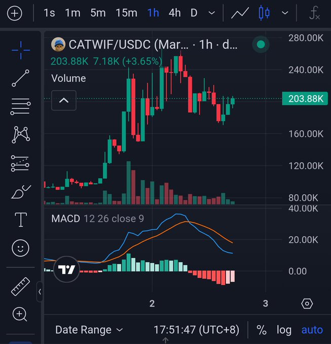 A trading chart screenshot showing CATWIF/USDC at 203.88K, up 3.65% (+7.18K), with candlestick price action and a MACD indicator below.