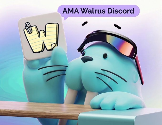A 3D-rendered blue walrus character wearing sunglasses holds a notepad with a "W" drawing, with a speech bubble reading "AMA Walrus Discord".