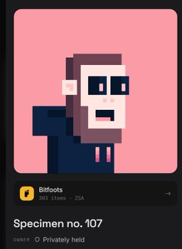 A digital collectible display showing a pixel-art character titled 'Specimen no. 107' from the 'Bitfoots' collection, with 163 items and marked as 'Privately held'.