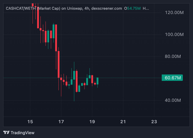 A 4-hour candlestick chart from dexscreener.com shows CASHCAT/WETH market cap declining sharply from ~120M to ~60.67M between the 15th and 19th, with recent sideways price action suggesting a base formation that aligns with the post's bullish thesis of accumulation before a potential breakout.