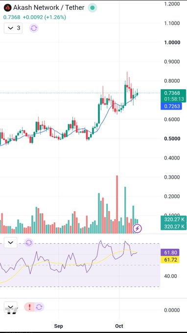 A cryptocurrency trading chart showing the Akash Network (AKT) / Tether (USDT) pair, with a current price of 0.7368 (+1.26%), displaying candlestick patterns, volume bars, and an RSI indicator across September and October.