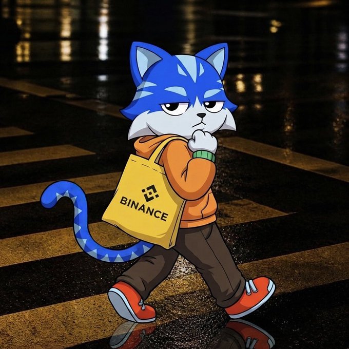 An anime-style blue cat character wearing an orange hoodie and red shoes, carrying a yellow bag with the 'BINANCE' logo on a wet street.