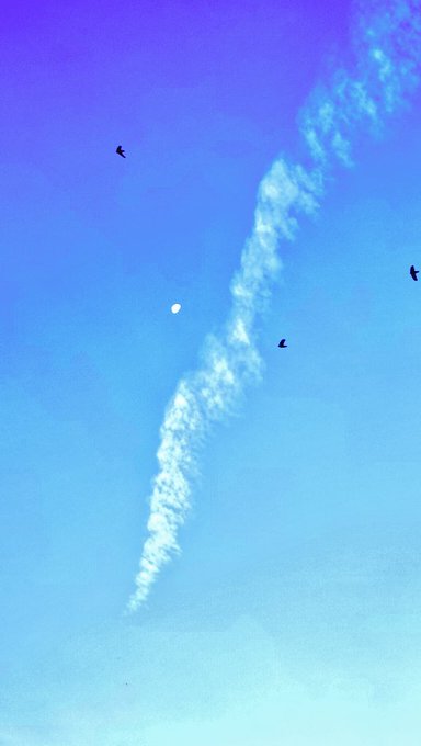 A bright blue sky features a wispy jet contrail stretching diagonally across the frame, with the moon visible alongside a few soaring birds—capturing a peaceful morning scene that pairs perfectly with a cheerful "Good morning" greeting.