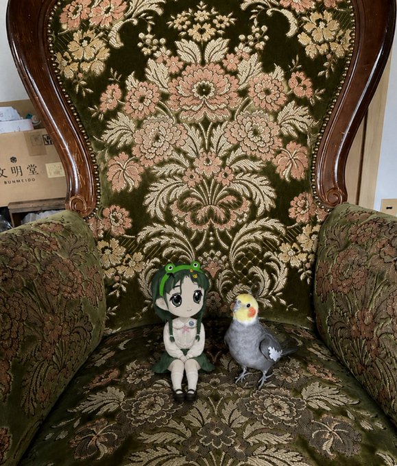 A plush doll dressed in green with a flower headband sits beside a cockatiel on an ornate floral wingback chair, perfectly befitting the regal title "Milady." A cardboard box labeled "文明堂 BUNMEIDO" is partially visible in the background.