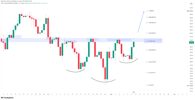 A TradingView candlestick chart of "Tesla, Inc. Capital 4h · TVC" shows price action with Fibonacci retracement levels marked (0.000, 0.236, 0.382, 0.5, 0.618, 0.786, 1.0, 1.236) and a blue arrow indicating an upward move.