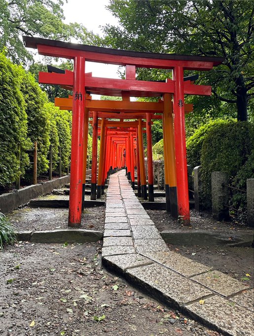 A photograph of a pathway lined with traditional Japanese red and orange torii gates, leading through a green, tree-lined shrine area with stone lanterns.