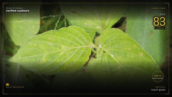 A close-up photograph of green leaves with text overlays reading 'PROOF OF GRASS verified outdoors', 'CURRENT STREAK DAY 83 A LEGENDARY', 'KEEP GOING - 1,243 OUTDOOR DAYS', and 'CERTIFIED BY touch grass'.