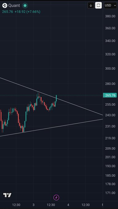 A TradingView stock chart displays the ticker 'Quant' priced at 265.76, showing a +18.92 (+7.66%) gain with a symmetrical triangle pattern formed by candlestick price action.