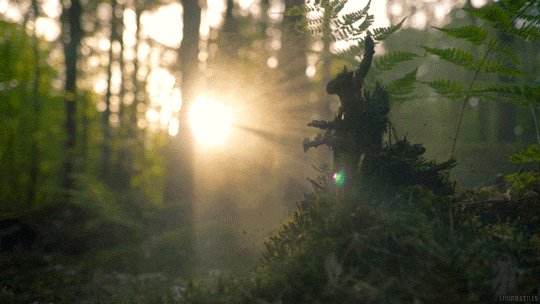 urn of a person holding a sword, surrounded by ferns and trees with sunlight filtering through the leaves.