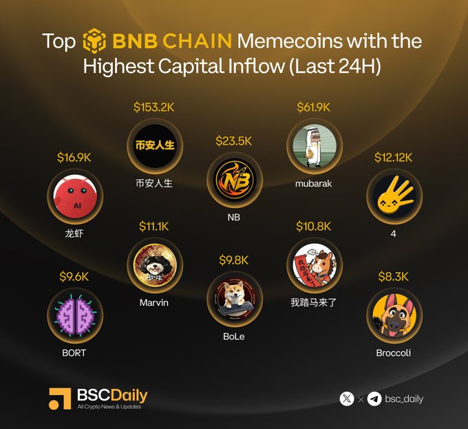 The image is an infographic from BSCDaily titled "Top BNB Chain Memecoins with the Highest Capital Inflow (Last 24H)," displaying ten memecoins ranked by capital inflow with values ranging from $153.2K (币安人生) down to $8.3K (Broccoli), featuring their logos and corresponding X/Telegram handles as listed in the accompanying post.