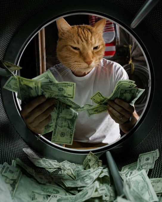 A surreal image depicts a person with a ginger cat's head holding handfuls of US dollar bills, viewed through a circular opening like a washing machine. This imagery visually captures the "hopium" mentioned in the post, humorously illustrating the excitement and irrational optimism of a potential "bull market."