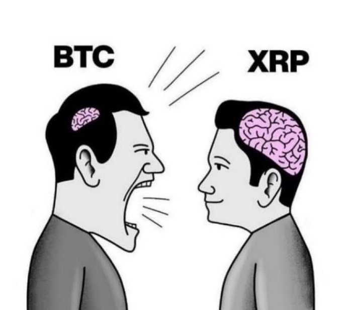 A meme showing two men facing each other, labeled 'BTC' and 'XRP', with the BTC figure yelling aggressively while having a small brain, contrasted with the calm XRP figure having a large pink brain.