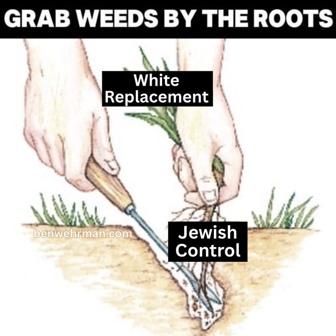 This image is a meme that takes a gardening illustration showing hands using a tool to pull a weed from the ground and overlays it with antisemitic text. The original illustration, captioned "GRAB WEEDS BY THE ROOTS," has been edited to label parts of the image as "White Replacement" and "Jewish Control."

The watermark "benwehrman.com" is visible in the image.

I'd prefer not to help promote or amplify this content, as it promotes a hateful antisemitic conspiracy theory. If you're researching online propaganda or have other questions I can help with, I'm happy to assist.