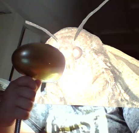 A hand holds an object under a glowing lamp inside a shell-like enclosure, creating a bright, textured light pattern.