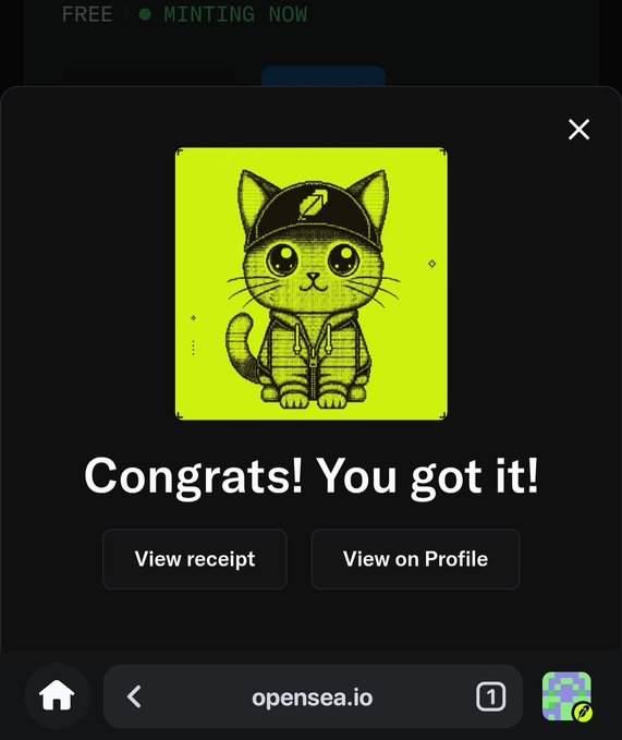 A mobile screenshot from opensea.io showing a successful NFT mint notification that reads "Congrats! You got it!" featuring a green cartoon cat wearing a hoodie, related to the @HoodAI0x collection.