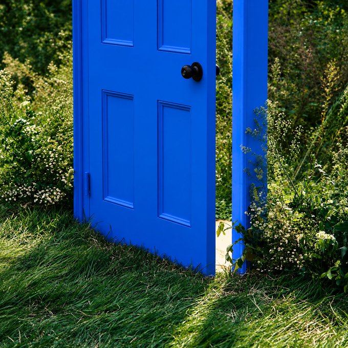 A bright blue paneled door stands ajar in a grassy, overgrown area, with lush green foliage and small white flowers surrounding its frame.