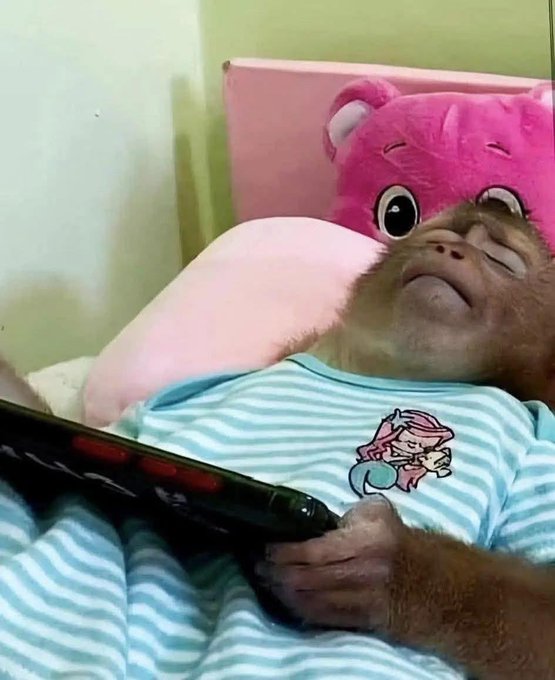 A small monkey wearing a blue and white striped shirt and a pink bear hat holds a TV remote control while lying down.