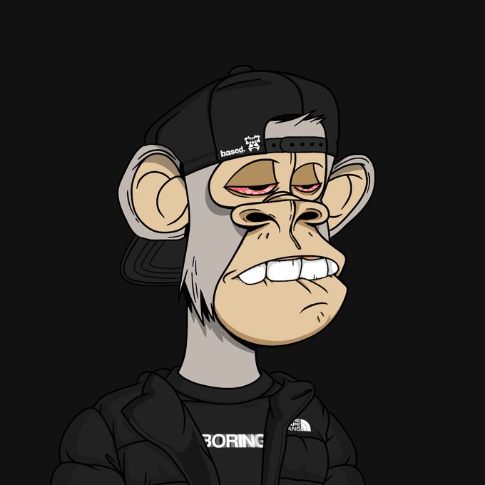 A digital illustration of a cartoon monkey character wearing a black 'based' cap and a black North Face jacket with 'BORING' written on the shirt, set against a black background.