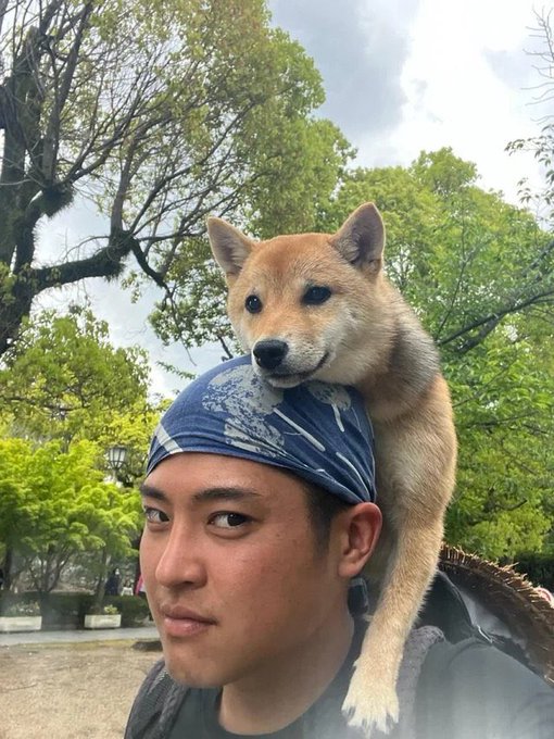 A selfie of a man wearing a blue bandana with a Shiba Inu dog resting its head on top of his head, set in a park-like setting with trees.