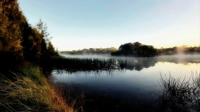A serene early-morning landscape photograph showing a misty lake surrounded by reeds and trees, with sunlight glowing in the pale sky.