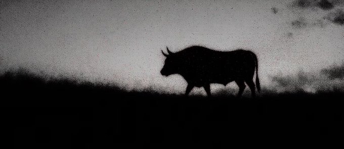 A black silhouette of a horned bull walking across a dark horizon against a cloudy sky.