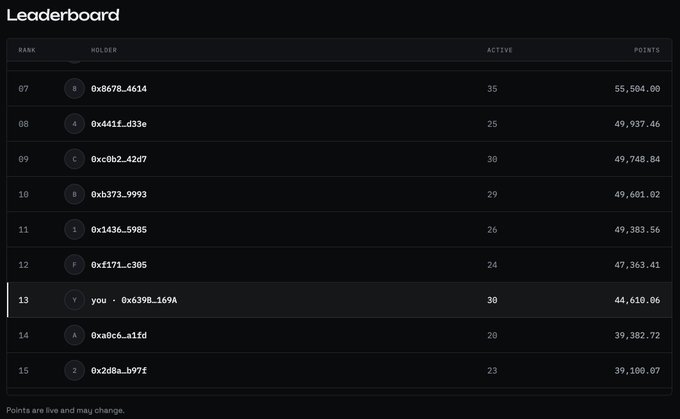 A dark-themed leaderboard displaying cryptocurrency wallet rankings from positions 07 to 15, showing holders, active status, and points, with the user 'you' ranked at 13th with 44,610.06 points.