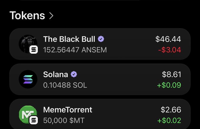 A crypto portfolio screenshot showing three tokens: The Black Bull (ANSEM) at $46.44 down $3.04, Solana (SOL) at $8.61 up $0.09, and MemeTorrent ($MT) at $2.66 up $0.02, illustrating a trader's recent ANSEM purchase amid a broader portfolio of meme and major crypto holdings.