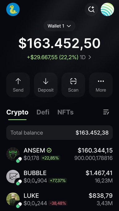 A screenshot of a cryptocurrency wallet app showing a total balance of $163,452.50, a +22.2% 1D change, with holdings including ANSEM ($160,344.15), BUBBLE, and LUKE tokens.