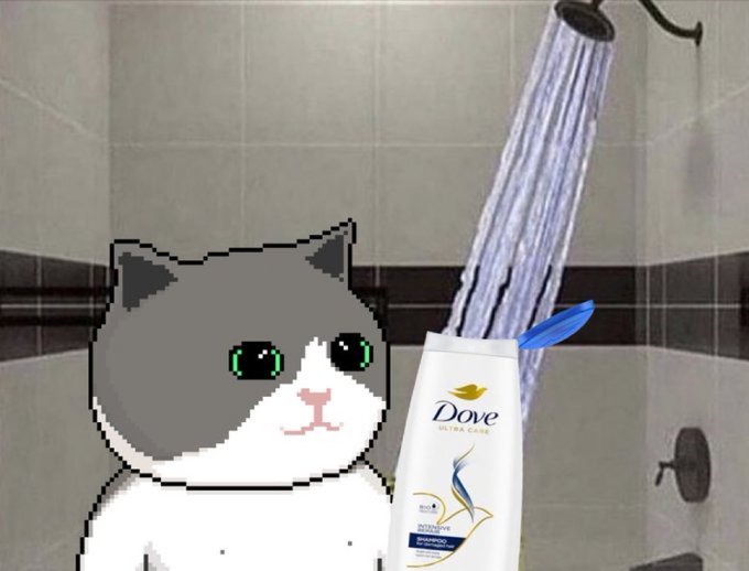 A pixel art gray and white cat character stands in a tiled shower next to a bottle of Dove Ultra Care shampoo.