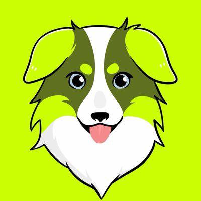 A cartoon illustration of a smiling Border Collie-like dog with a white chest and green/gray facial markings on a bright lime green background, serving as the mascot for the $ROBDOG meme token mentioned in the post about its presence on the Robinhood Chain.