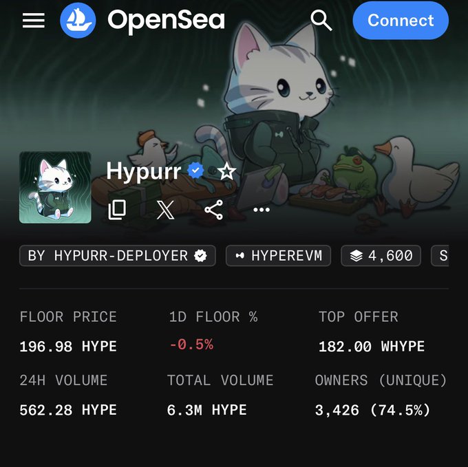 OpenSea NFT marketplace page displaying the 'Hypurr' collection with a cartoon cat in a green jacket, showing floor price of 196.98 HYPE and 3,426 unique owners on the HyperEVM network.