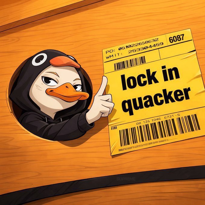 An illustration of a duck in a penguin hoodie pointing at a yellow shipping label that reads 'lock in quacker', placed on a wooden surface.