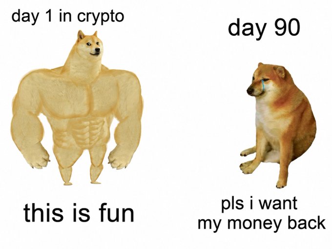 A popular 'Buff Doge vs. Cheems' cryptocurrency meme contrasting 'day 1 in crypto' (a muscular, confident Shiba Inu saying 'this is fun') with 'day 90' (a crying, defeated Cheems saying 'pls i want my money back').