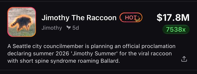 The image shows a trading card-style post featuring "Jimothy The Raccoon" with a "HOT" badge and a value of $17.8M at 7538x, describing a Seattle councilmember's proclamation for "Jimothy Summer" 2026 for the viral raccoon with short spine syndrome. The post relates to a testimonial celebrating a massive 7,355x return, using the meme raccoon's viral success as a parallel to an improbable trading win.