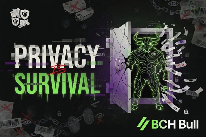 The image features a bold graphic for "Privacy Survival" by BCH Bull, depicting a muscular green bull with circuit-like patterns bursting through a broken door, symbolizing the protection of privacy and security against surveillance threats (represented by scattered eye icons and padlocks). The accompanying message "Privacy is survival" reinforces the theme of defending digital privacy as essential for personal and financial sovereignty.