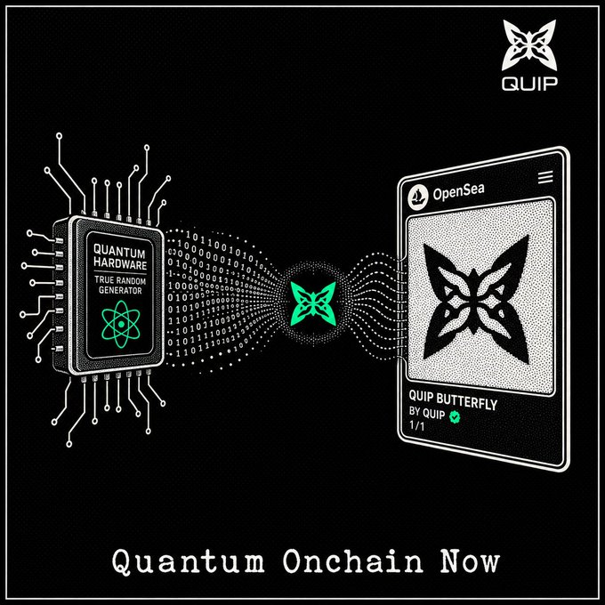 The image features two computer chips, one black and one white, with green butterflies on them. The text "Quip Network" is written above the chips, while "Quantum Onchain Now" is written below them. The phrase "Focus on what is in the image and how it relates to the post." suggests that the image might be related to a post about Quantum Computing or Quantum Cryptography, as these are some of the topics often discussed around Quantum Onchain technology.