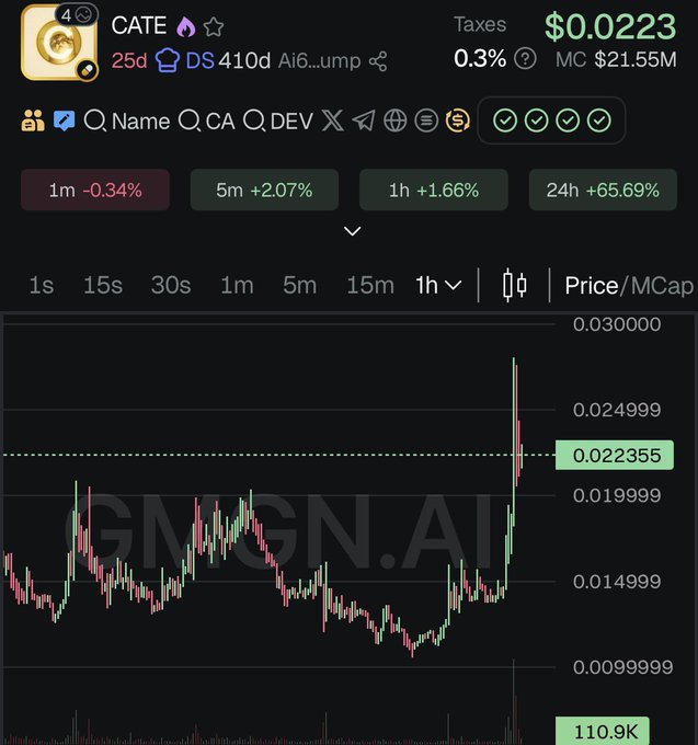 A crypto price chart for $CATE on GMGN.AI shows the token at $0.0223 with a massive +65.69% gain over 24 hours, featuring a sharp vertical price spike that aligns with the post's "fireworks" hype about creating new millionaires.
