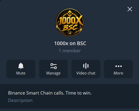 A Telegram group chat titled "1000x on BSC" with 1 member and the description "Binance Smart Chain calls. Time to win," likely an invitation to join a crypto trading community. The post "Who wants to join?" suggests the creator is recruiting new members to the group.