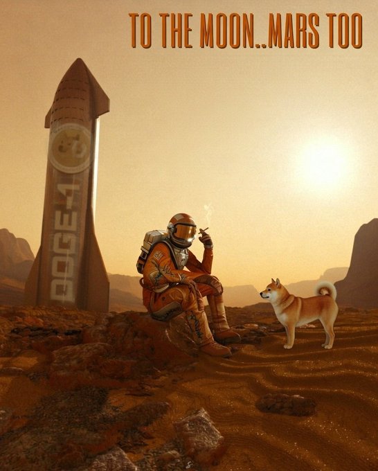 The image features a man dressed as an astronaut, sitting on a rock with his dog by his side. They are both looking at a large rocket ship that is prominently displayed behind them. The caption of the image reads "To the Moon... Mars too". This suggests that the man and his dog are interested in space exploration or have a fascination for space travel. The post also mentions Dogecoin, which could indicate that they might be discussing cryptocurrency or its relation to space exploration.